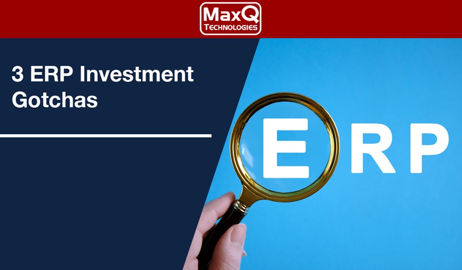 Read more about the article ERP Investment Gotchas