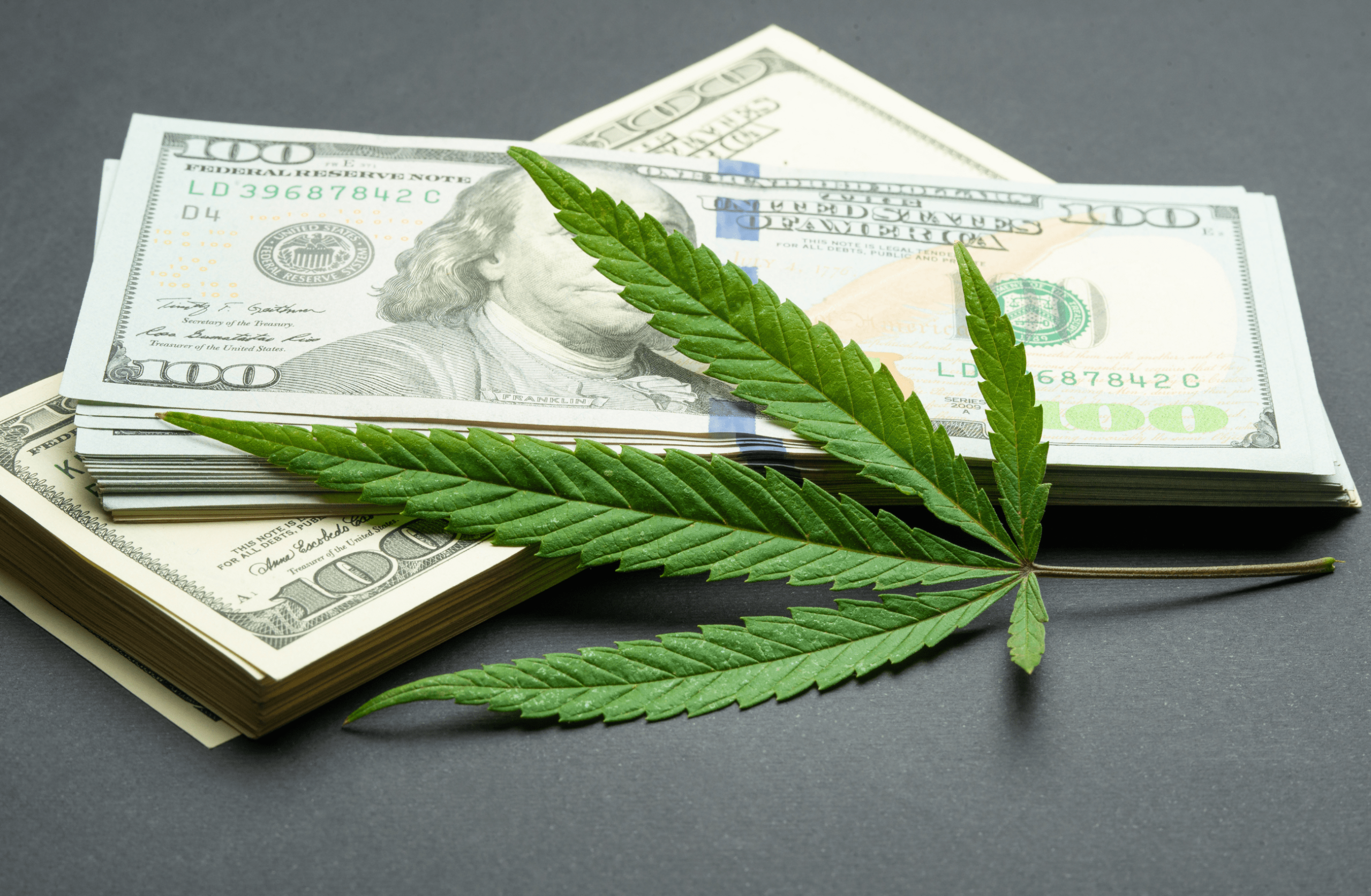 Read more about the article Building a Durable Cannabis Business in a Volatile Industry: How to Scale for Long-Term Success