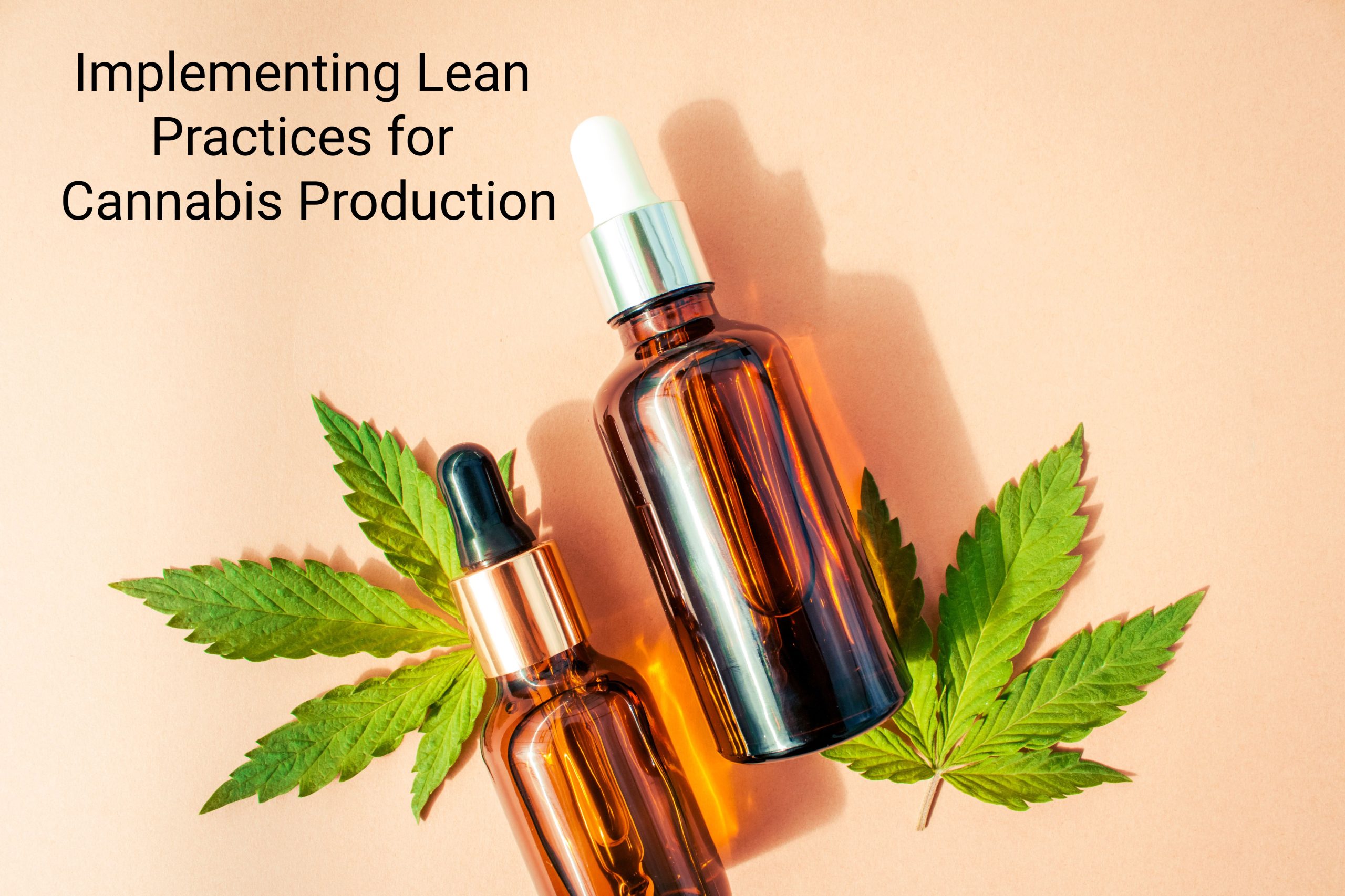 Read more about the article Implementing Lean Practices for Cannabis Production