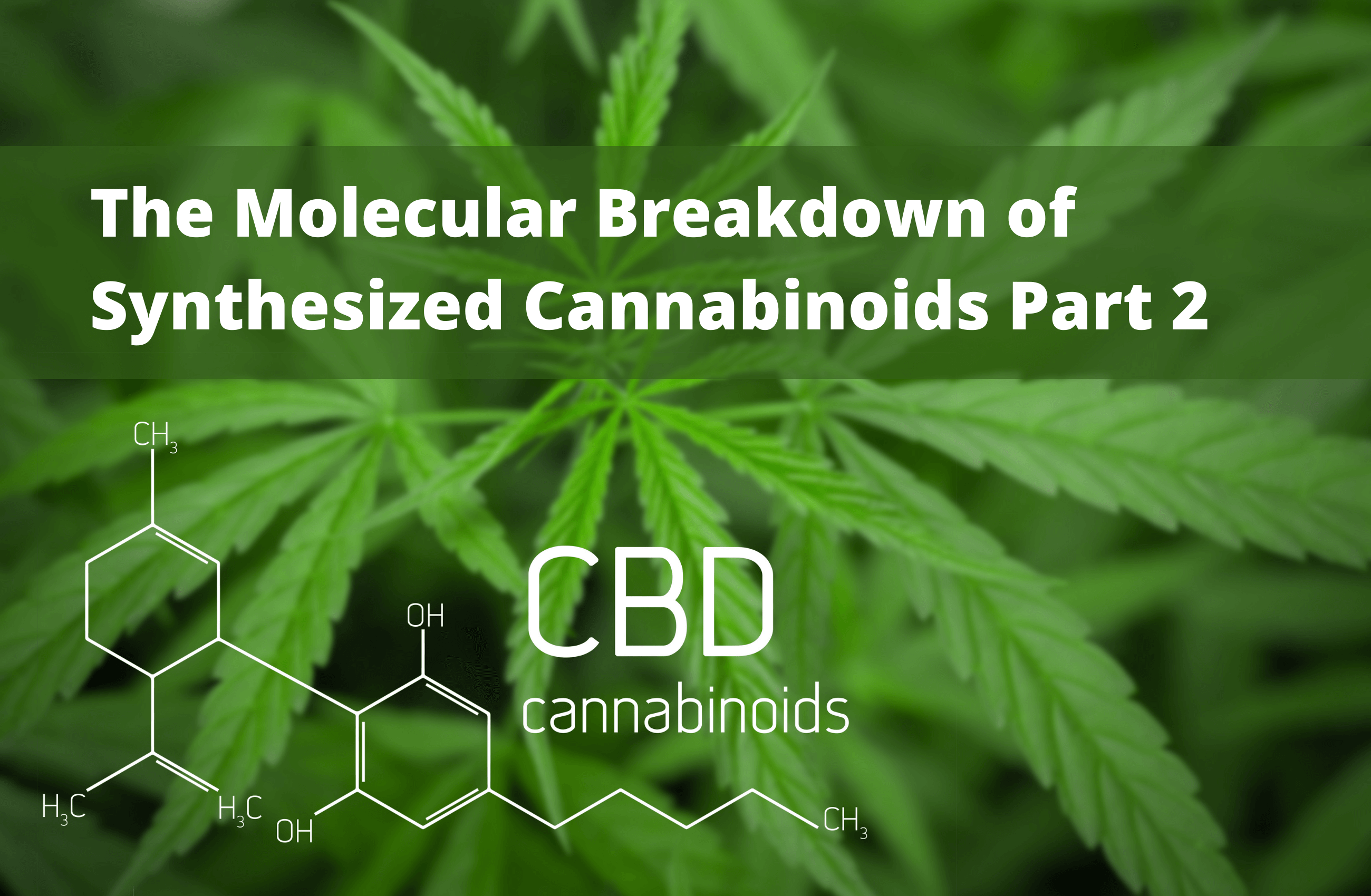 You are currently viewing The Molecular Breakdown of Synthesized Cannabinoids Part 2