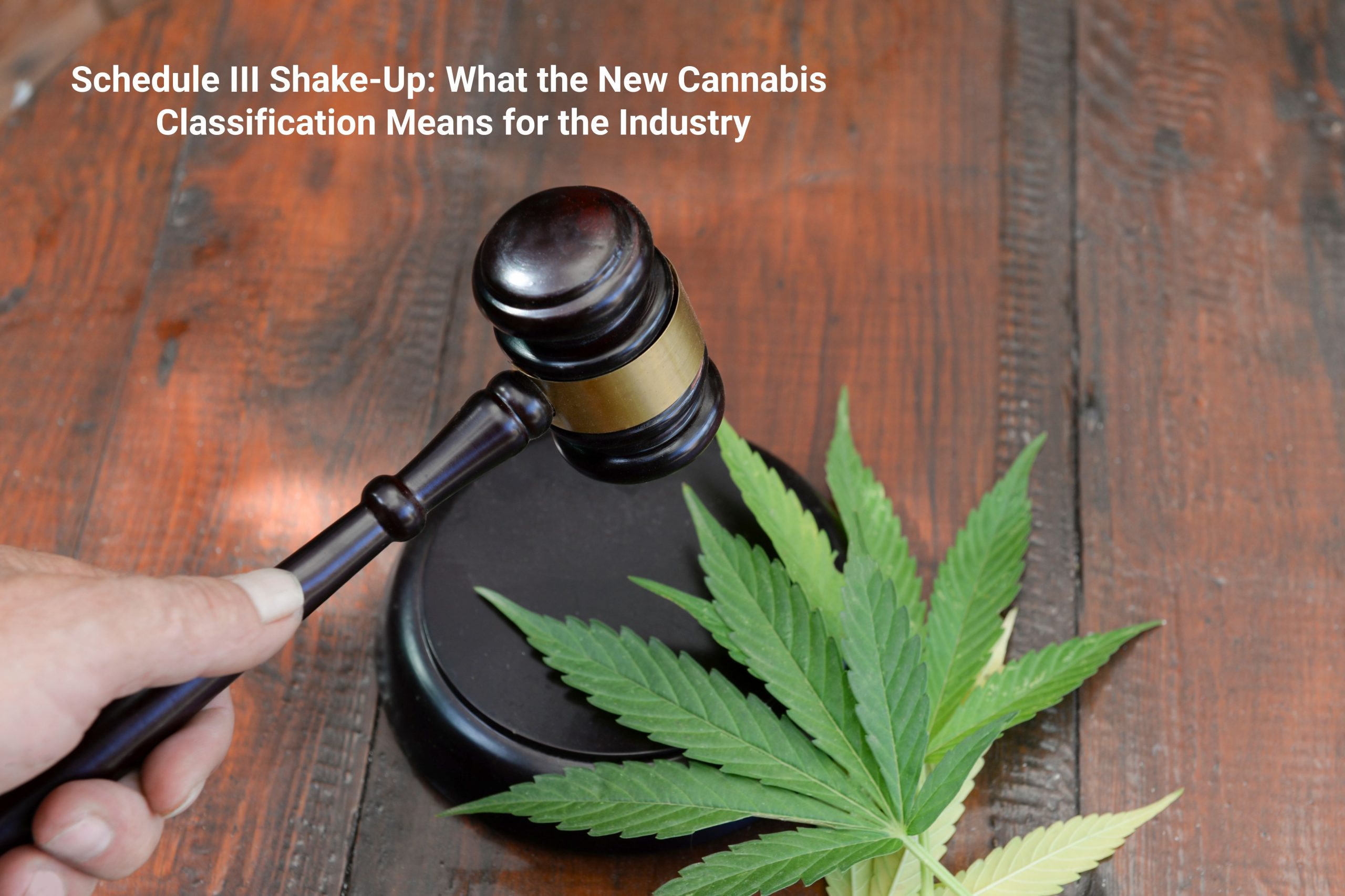 Read more about the article Schedule III Shake-Up: What the New Cannabis Classification Means for the Industry