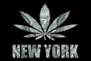 Read more about the article The New York State Cannabis Market – from a Slow Start to 3 Billion Dollars Plus in Sales