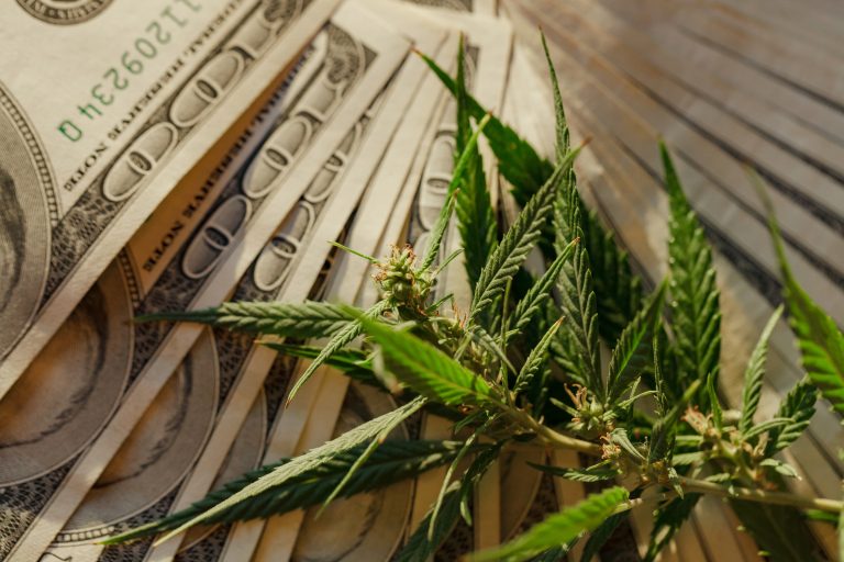 Read more about the article 5 Practical Tips for Cannabis Operators to Save Costs During a Market Downturn