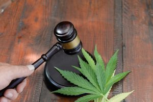 Read more about the article The Inclusion of THCA in the Farm Bill: Potential Ramifications for the U.S. Hemp Industry